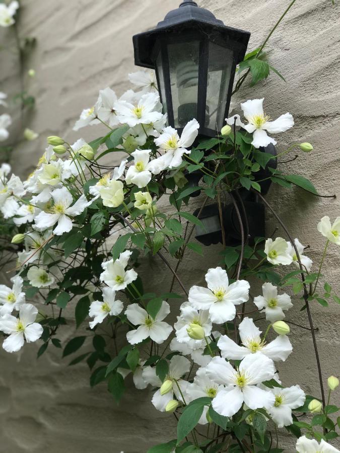 峡谷住宿加早餐旅馆 皇后镇 外观 照片